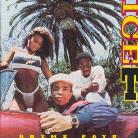 Ice-T - Rhyme Pays