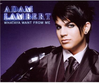 Adam Lambert (Queen/American Idol) - Whataya Want From Me