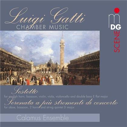Calamus Ensemble & Luigi Gatti - Kammermusik