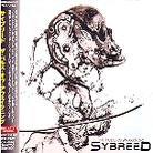 Sybreed - Pulse Of Awakening - + Bonus (Japan Edition)