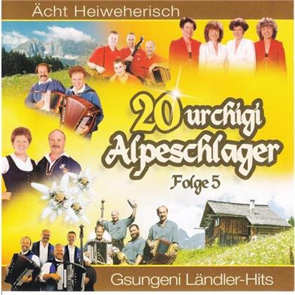20 Urchigi Alpeschlager - Various