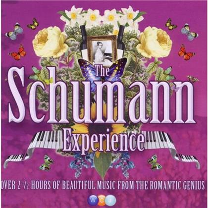 Harnoncourt/Fischer-D./Pires/Schreier & Robert Schumann (1810-1856) - Experience (2 CD)