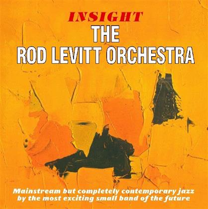 Rod Levitt - Insight/Solid Ground