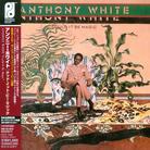 Anthony White - Could It Be Magic - Papersleeve (Remastered)