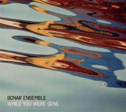 Sonar Ensemble - While You Were Gone