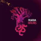 Tribeqa - Qolors