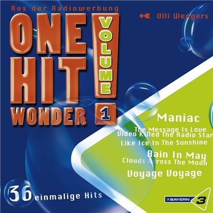 One Hit Wonder - Various 1 (2 CDs)