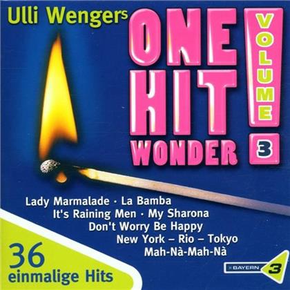One Hit Wonder - Various 3 (2 CDs)