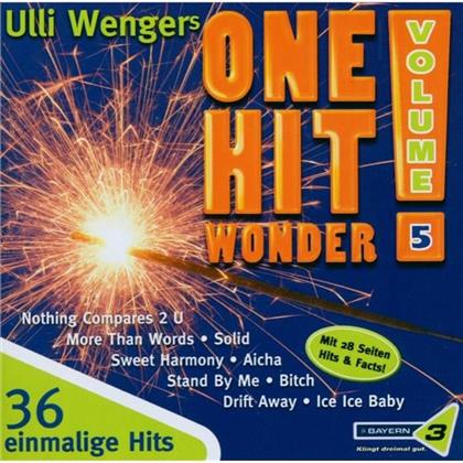 One Hit Wonder - Various 5 (2 CDs)