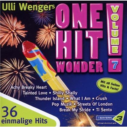 One Hit Wonder - Various 7 (2 CDs)