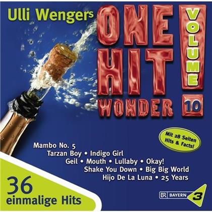 One Hit Wonder - Various10 (2 CDs)