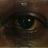 Shorty Feat. Georgie Fame - ---