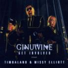 Ginuwine Feat. Timbaland - Get Involved
