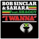 Sinclar Bob & Sahara Feat.Shaggy - I Wanna - 2Track