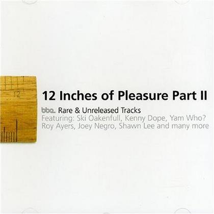 12" Of Pleasure Part 2