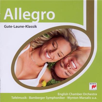 Various & Various - Esprit / Allegro - Gute Laune