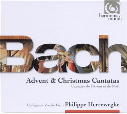 Herreweghe Philippe/Collegium Vocale Gen & Johann Sebastian Bach (1685-1750) - Weihnachtskantaten & Adventskant. (3 CDs)