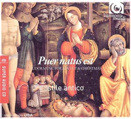 Stile Antico & Tallis / White / Sheppard / Taverner / - Puer Natus Est (SACD)