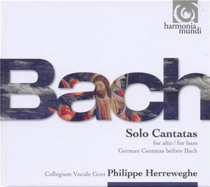 Herreweghe Philippe / Collegium Vocale & Johann Sebastian Bach (1685-1750) - Solo Cantatas (3 CDs)