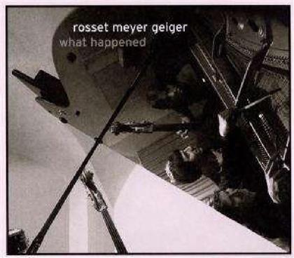 Rosset/Meyer/Geiger - What Happened
