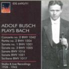 Adolf Busch & Johann Sebastian Bach (1685-1750) - Plays Bach 1928 - 1943 (2 CDs)