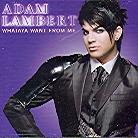 Adam Lambert (Queen/American Idol) - Whataya Want From Me 2