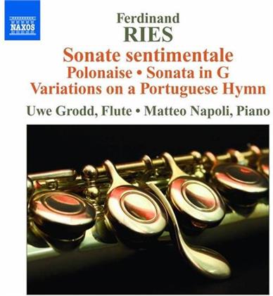 Grodd Uwe / Napoli Matteo & Ferdinand Ries - Werke F. Flöte & Klavier