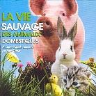 Max Richter - La Vie Sauvage Des Animaux Domestiques