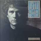 David Foster - River Of Love (Japan Edition, Remastered)