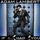 Adam Lambert (Queen/American Idol) - If I Had You - 2Track