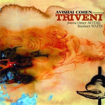 Avishai Cohen - Triveni