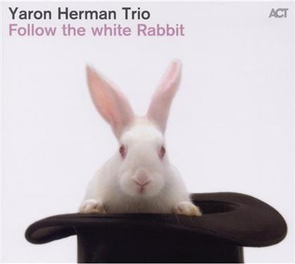 Yaron Herman - Follow The White Rabbit