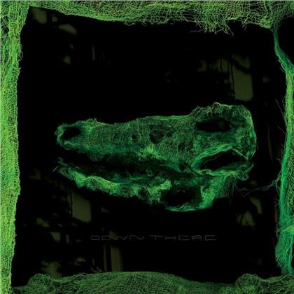 Avey Tare (Animal Collective) - Down There