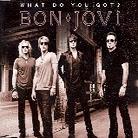 Bon Jovi - What Do You Got - 2Track