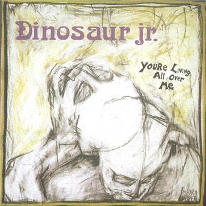 Dinosaur Jr. - You're Living All Over Me (Remastered)