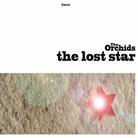 The Orchids - Lost Star
