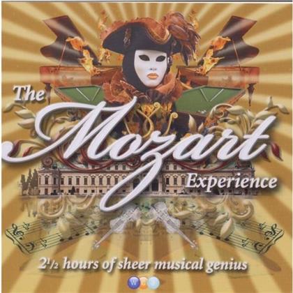 Margiono / Von Magnus / Polgar / + & Wolfgang Amadeus Mozart (1756-1791) - Experience (2 CDs)
