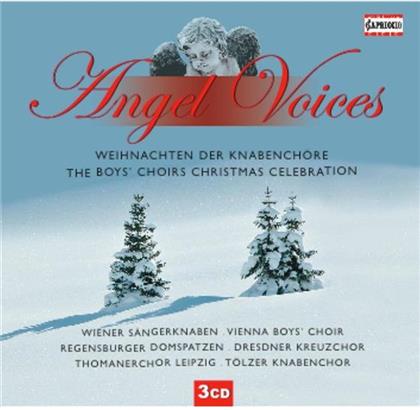 Wiener Sängerknaben & Regensburger Domspatzen - Angel Voices - Weihnachten der Knabenchöre (3 CDs)