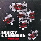 Lowkey & Kardinal - Puzzled