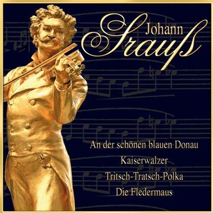 Johann Strauss - An Der Schönen Blauen Donau (2 CDs)