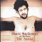 Shane MacGowan (Pogues) - Snake