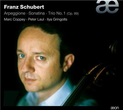 Marc Coppey (Cello), Ilya Grin & Franz Schubert (1797-1828) - Sonate Fuer Arpeggionne & Klavier