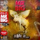 Mr. Big - What If - + Bonus (Japan Edition)