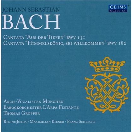 Gropper Thomas / Arcis-Vokalisten & Johann Sebastian Bach (1685-1750) - Kantaten 131/182
