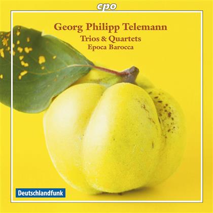 Epocca Barocca & Georg Philipp Telemann (1681-1767) - Quadro Twv43:A2,D2,E1, Sonate
