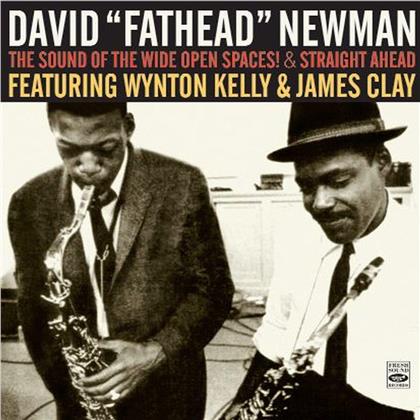 David "Fathead" Newman - Sound Of The Wide Open