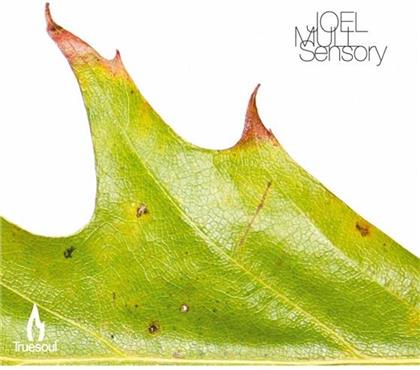 Joel Mull - Sensory