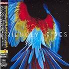 Friendly Fires - Pala