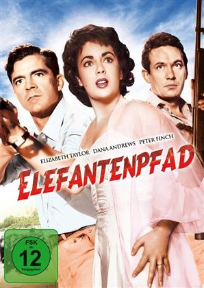 Elefantenpfad (1954)