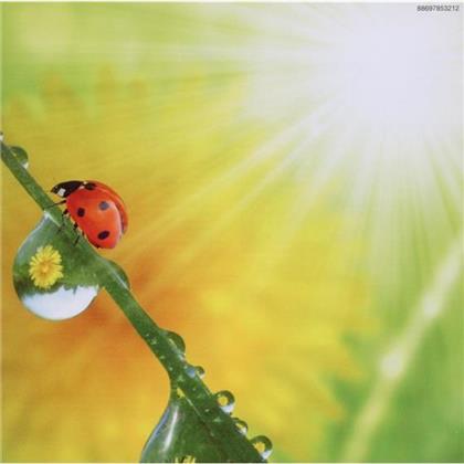 Fruehlingsfest Der Schlagerstars - Various (2 CD)
